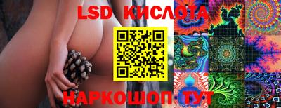ПСИЛОЦИБИНОВЫЕ ГРИБЫ Нальчик